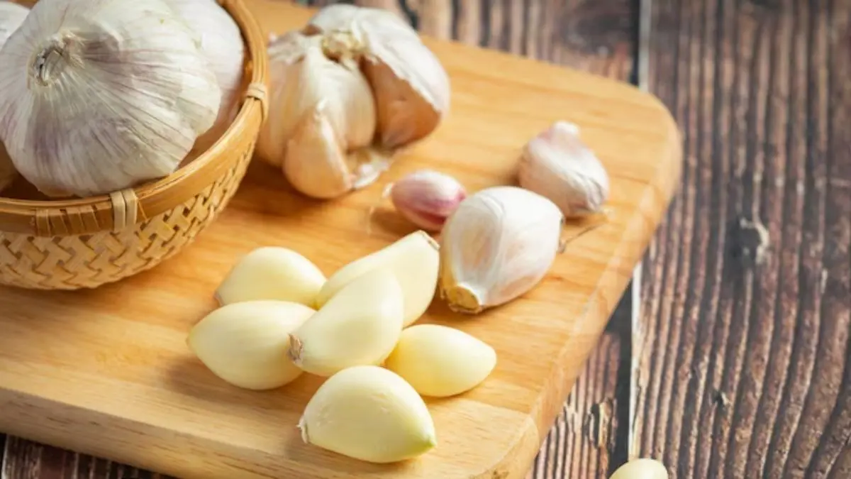 Benefits of Eating Garlic