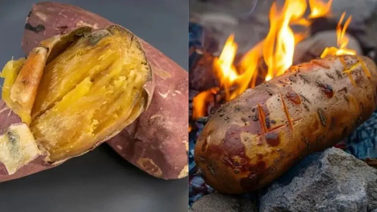 Sweet Potato Benefits: गुणों का खजाना है शकरकंदी, सर्दियों में जरूर करें सेवन; खाने का सही तरीका क्या है? benefits of eating sweet potato in winter shakarkandi khane ke fayde kya hain