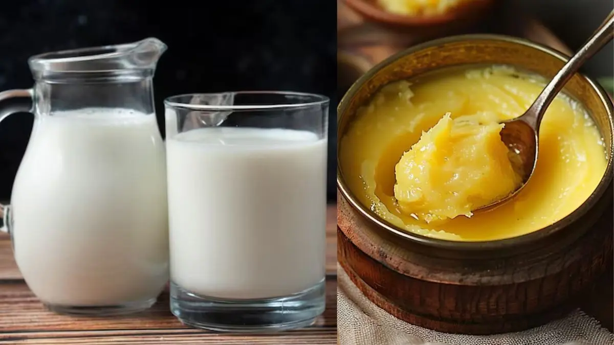 benefits of ghee in milk for healthy life also know correcting timing and way of drinking it