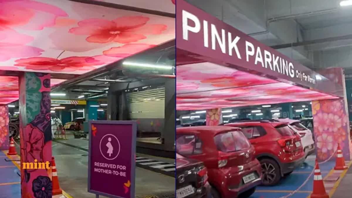 Bengaluru Mall Wins Praise For Introducing Special 'Pink Parking' For Pregnant Women, Video Goes Viral