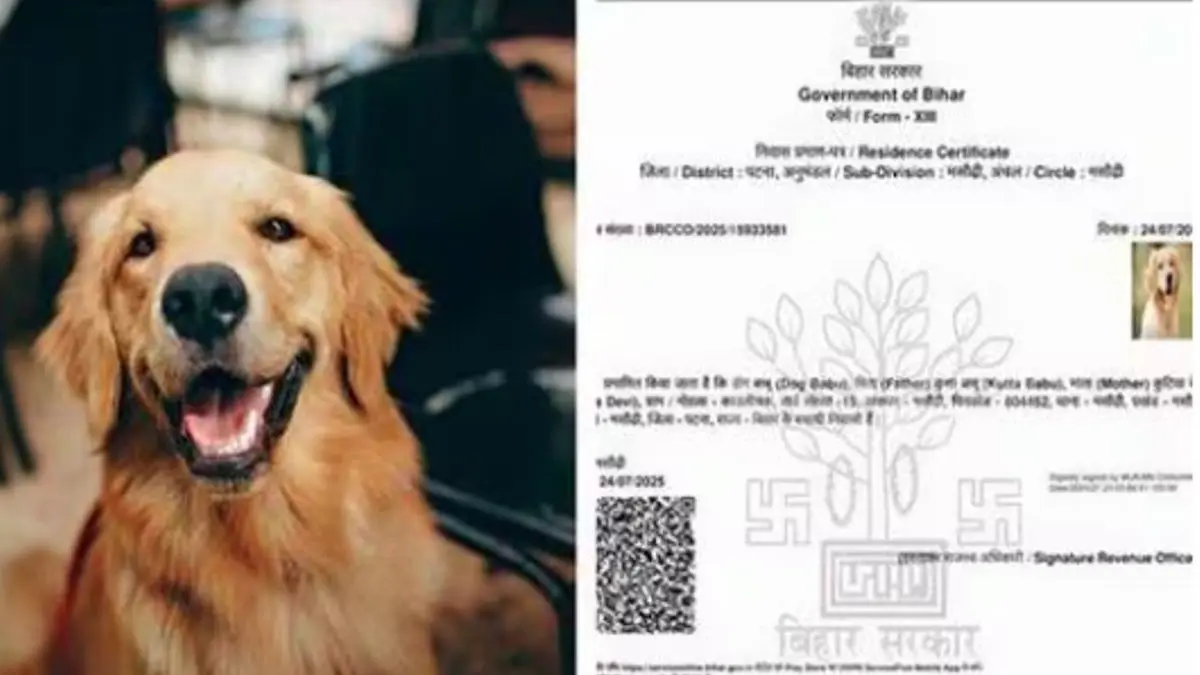 Beyond The 'Dog Babu': Bihar's Residence Certificate Scandal Exposed