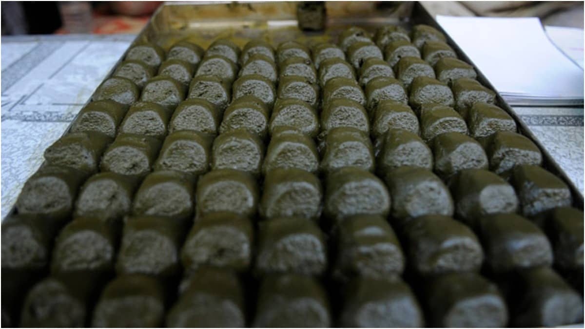 Bhaang is offered to Lord Shiva and consumed as 'prasad' during Holi and Shivratri