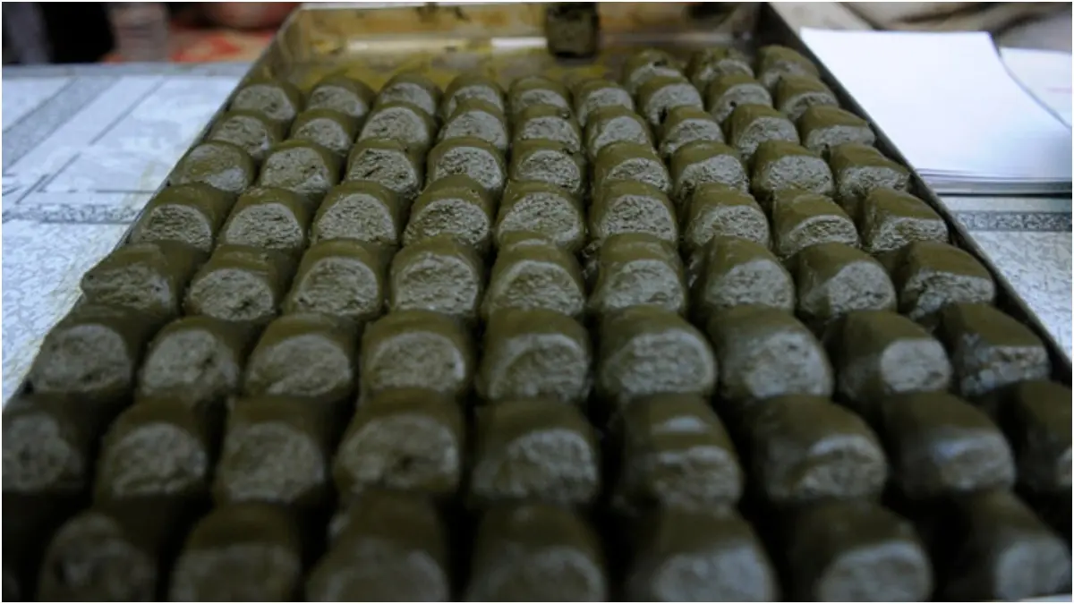 Why Is Bhaang Consumed On Maha Shivratri? Know The Lore Behind The Offering Made To Lord Shiva Bhaang is offered to Lord Shiva and consumed as 'prasad' during Holi and Shivratri