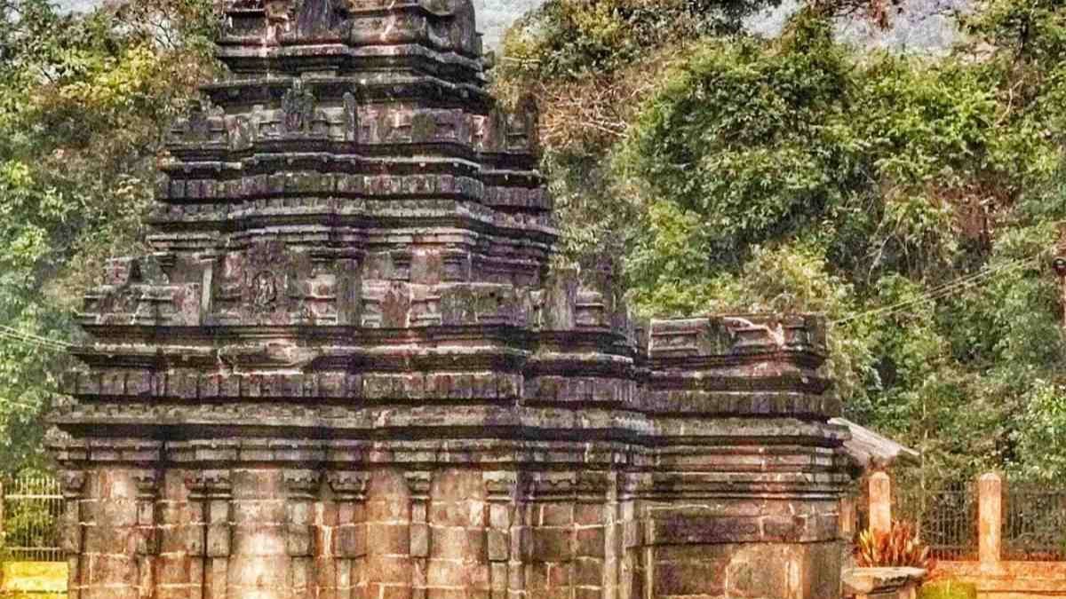 Description of the pic