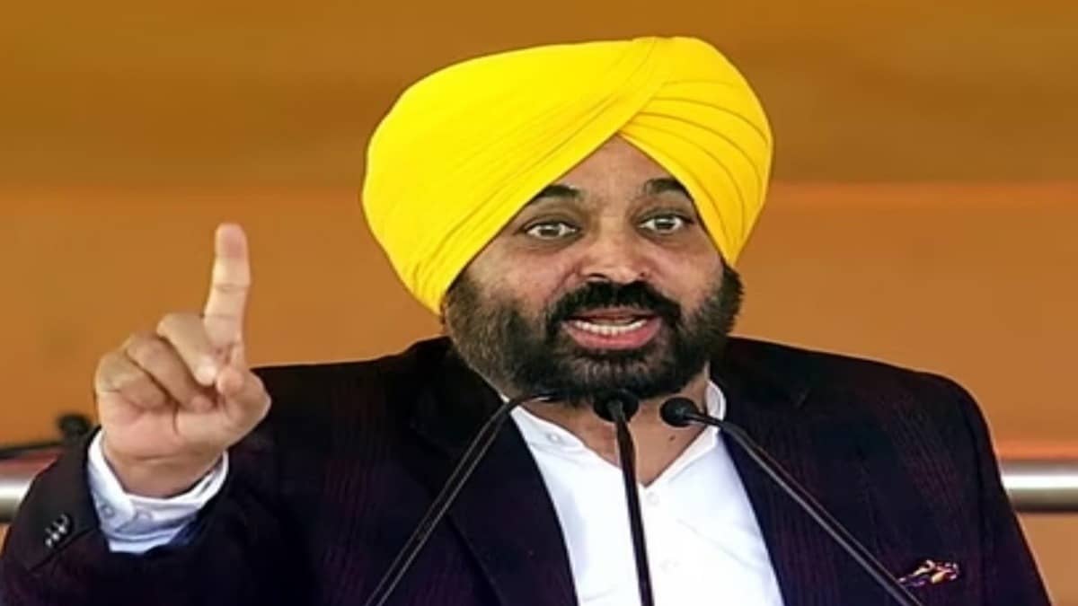 Bhagwant Mann's Bizarre Remark