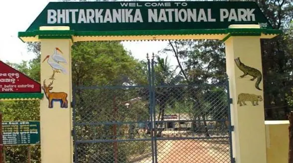 Bhitarkanika National Park Reopens After Three Month Long Break