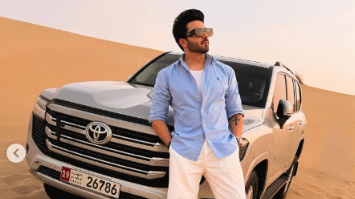 Description of the pic