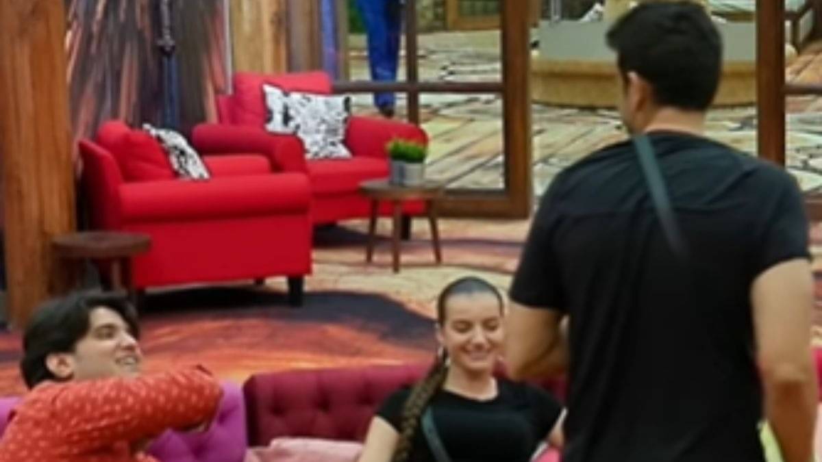 Description of the pic