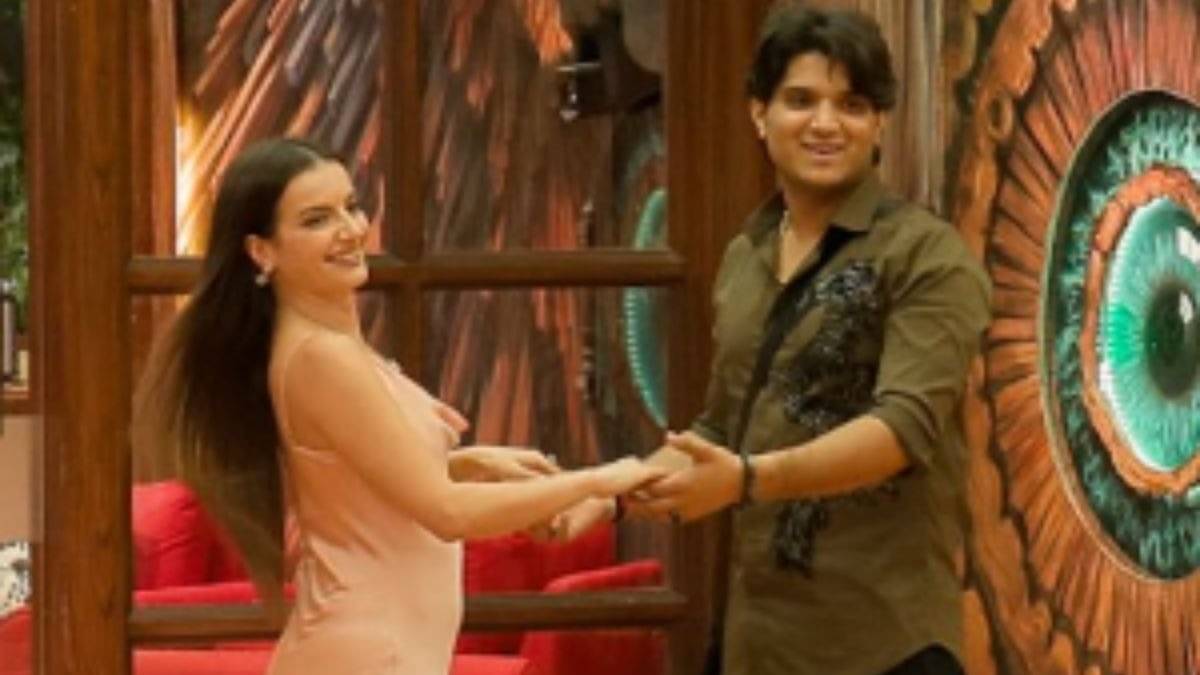 Description of the pic