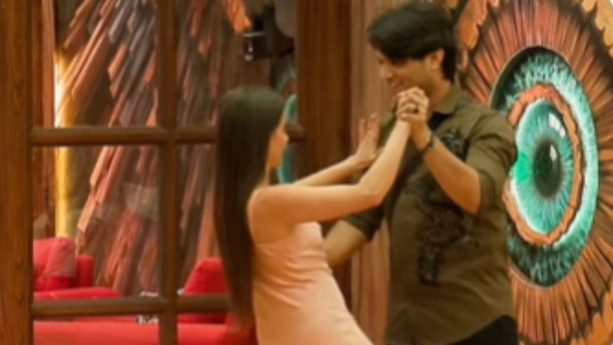 Description of the pic