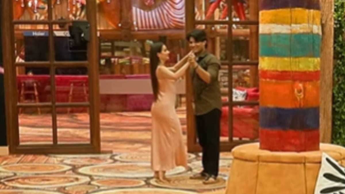 Description of the pic