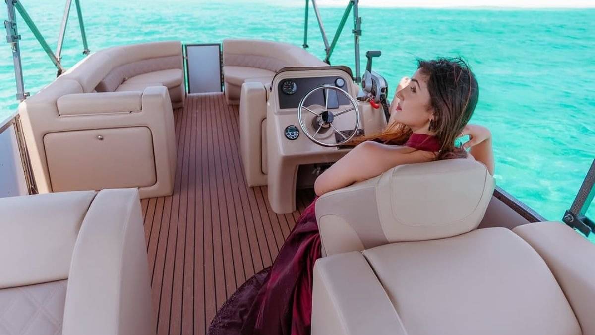 Description of the pic