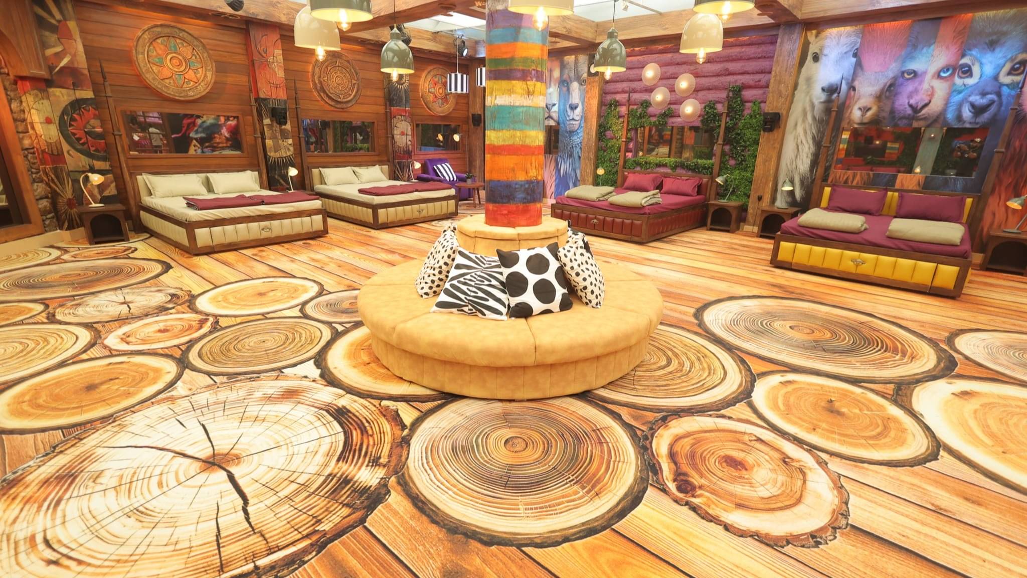 Description of the pic