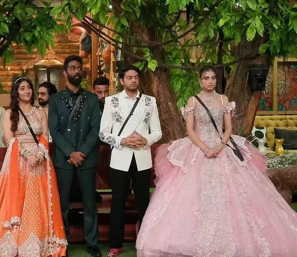 Description of the pic