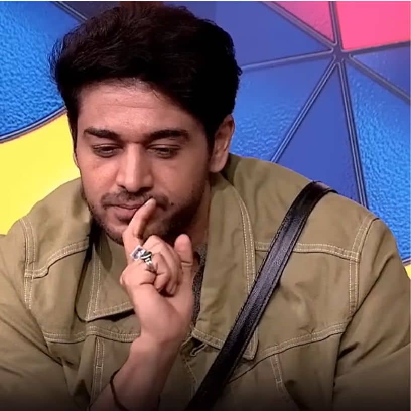 Description of the pic