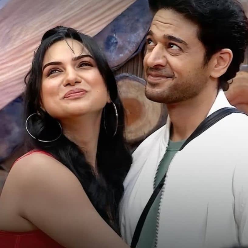 Description of the pic