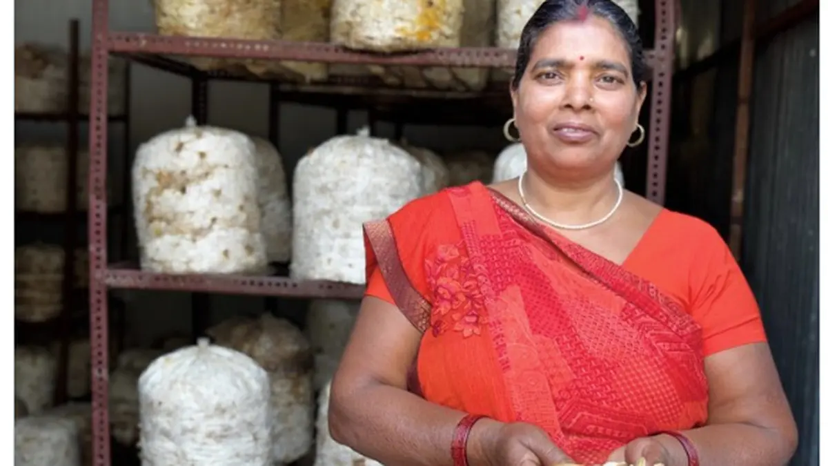 बिहार की किसान-उद्यमी ने प्रधानमंत्री के ‘एक्स’ अकाउंट से दिया आत्मनिर्भरता, सशक्तीकरण का संदेश Bihar farmer entrepreneur Anita Devi