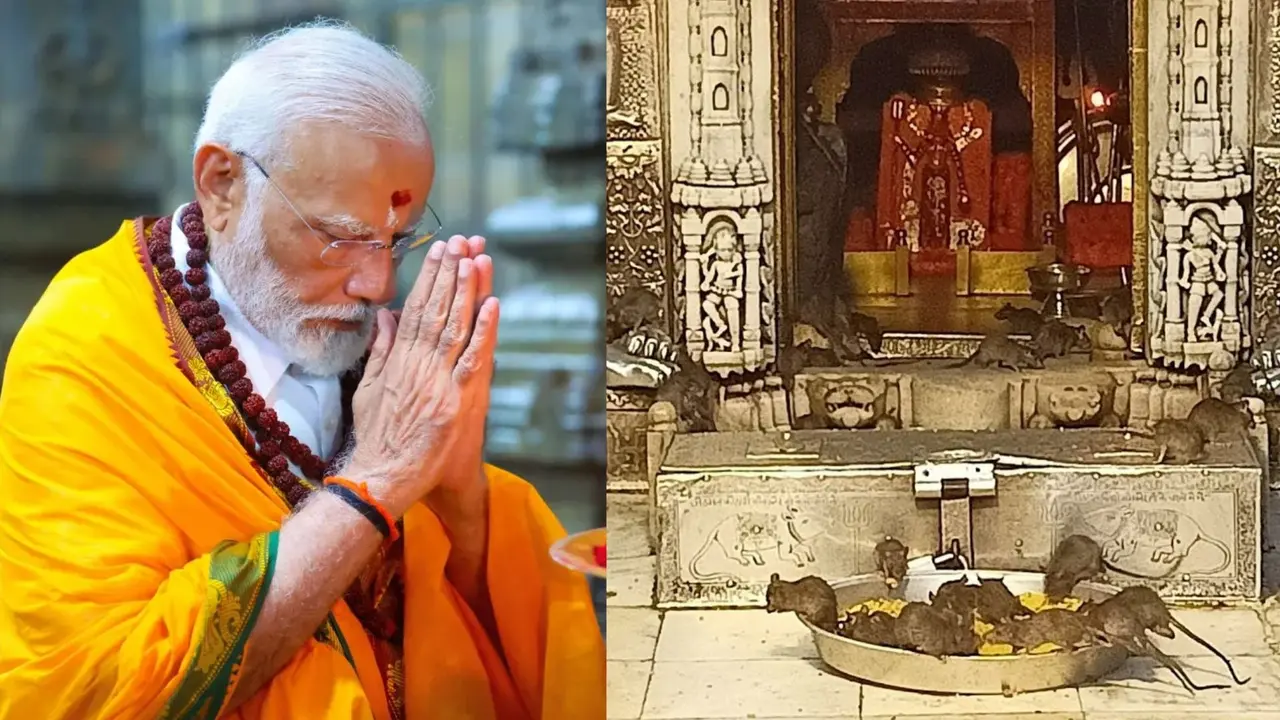 Bikaner Karni Mata Temple