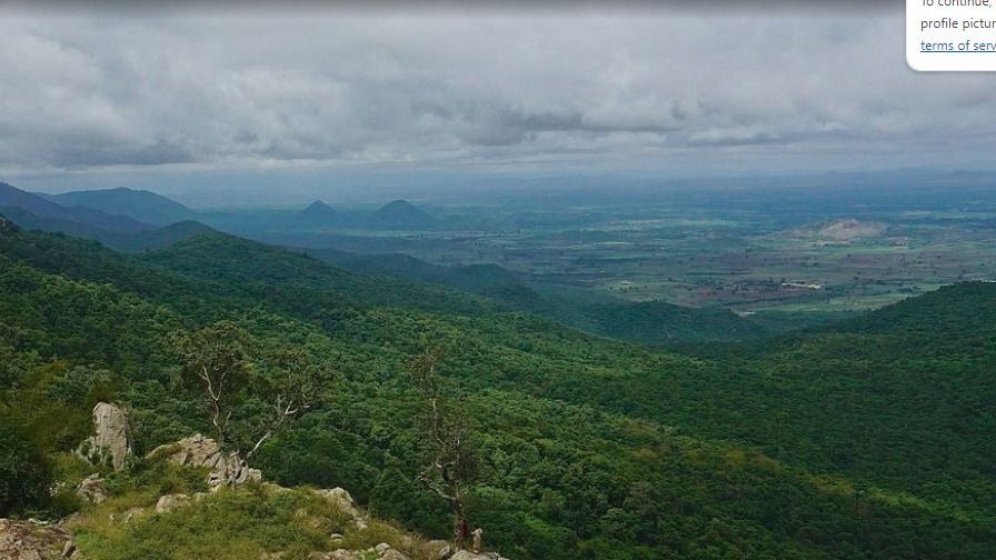 Biligirirangan Hills