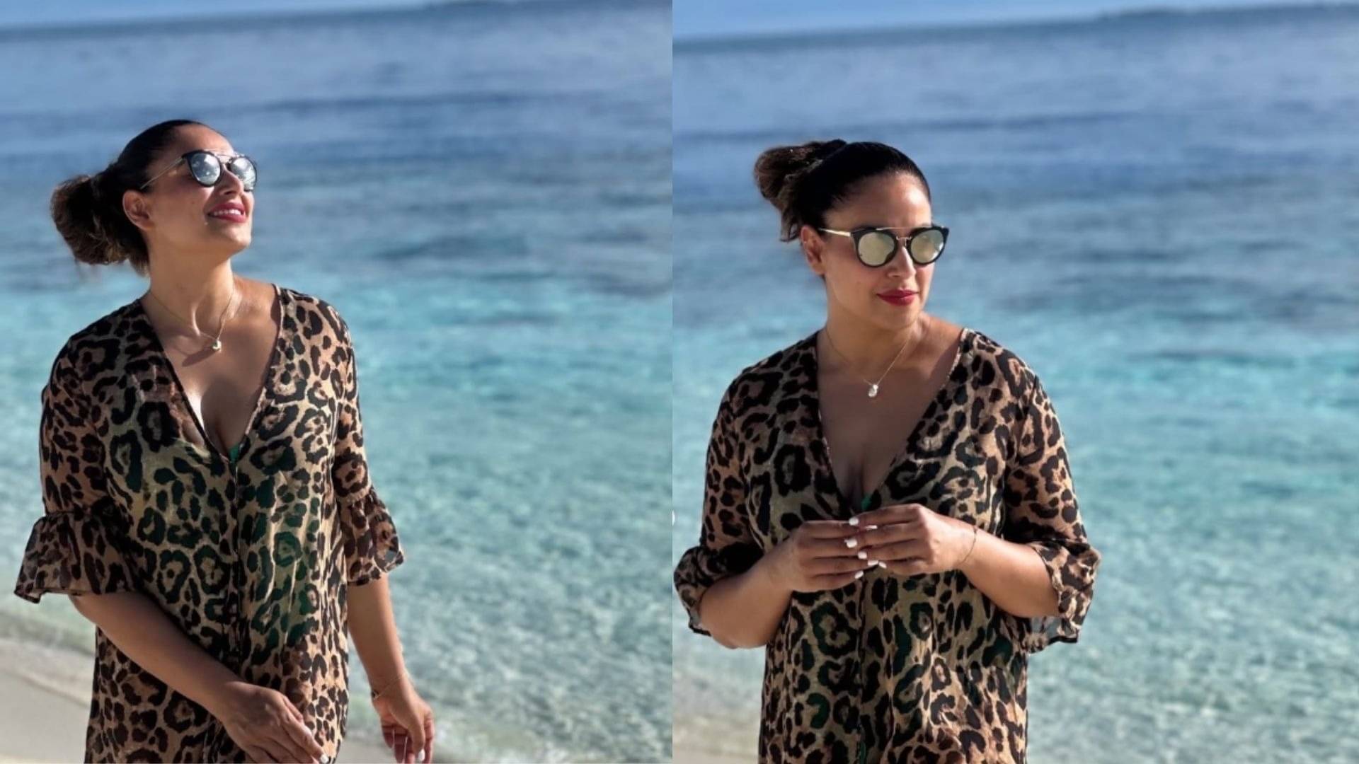 Description of the pic