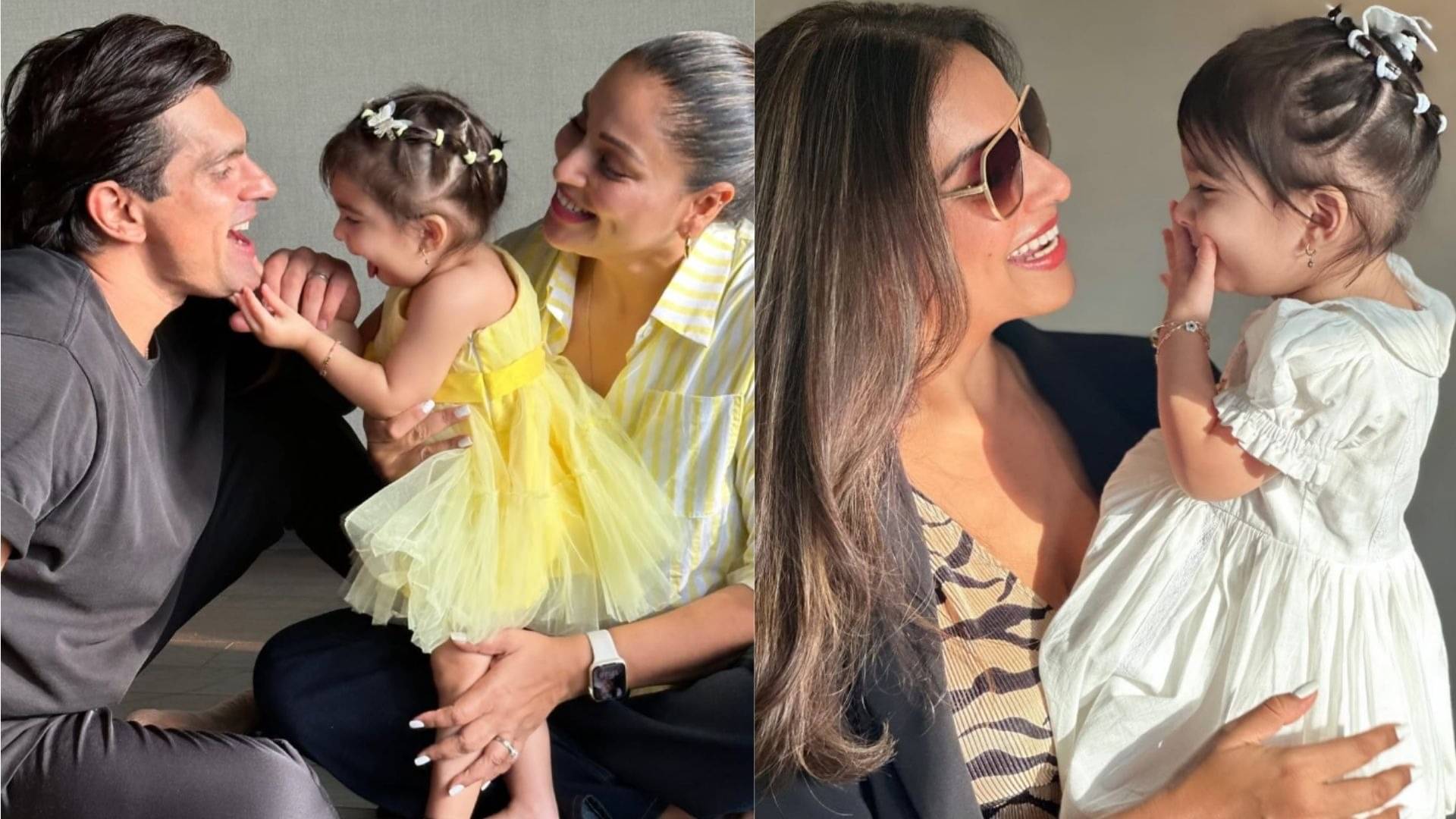 Description of the pic