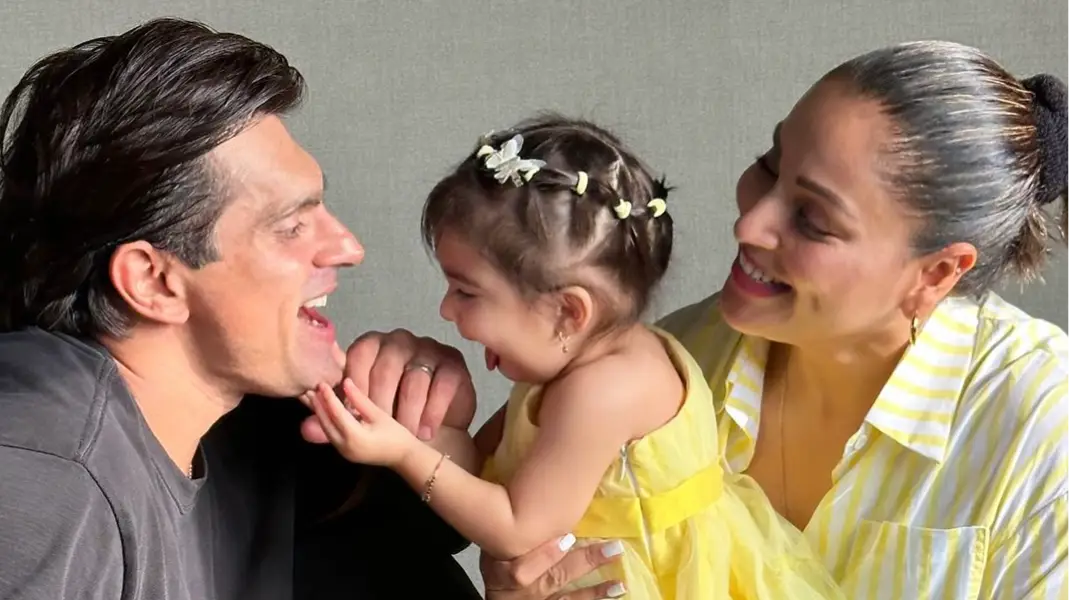 Description of the pic