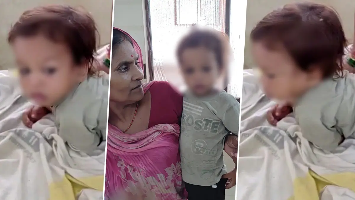 Bizarre! One-Year-Old Bites Snake Cobra To Death In Bihar's Bettiah, Faints After That