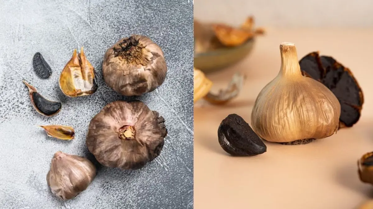 Black Garlic Benefits