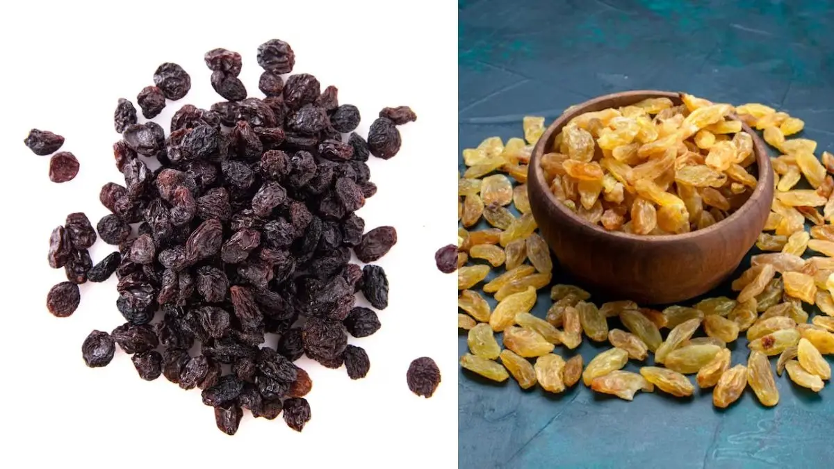 Black Or Yellow Raisin