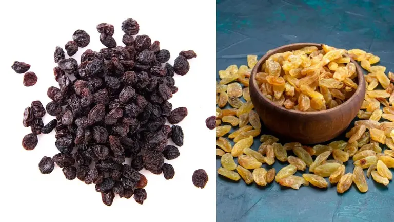 Black Or Yellow Raisin: पीली या काली किशमिश कौन सी आपकी सेहत के लिए अच्छी है? खाने से पहले जान लीजिए Black Or Yellow Raisin