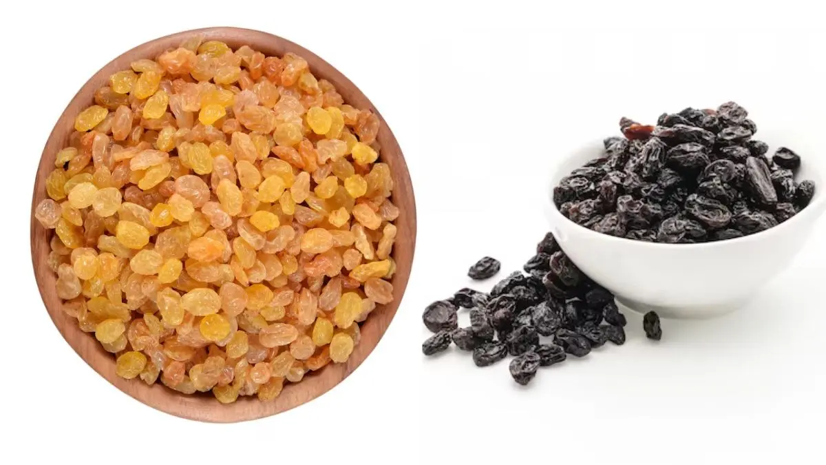Black Vs Golden Raisins