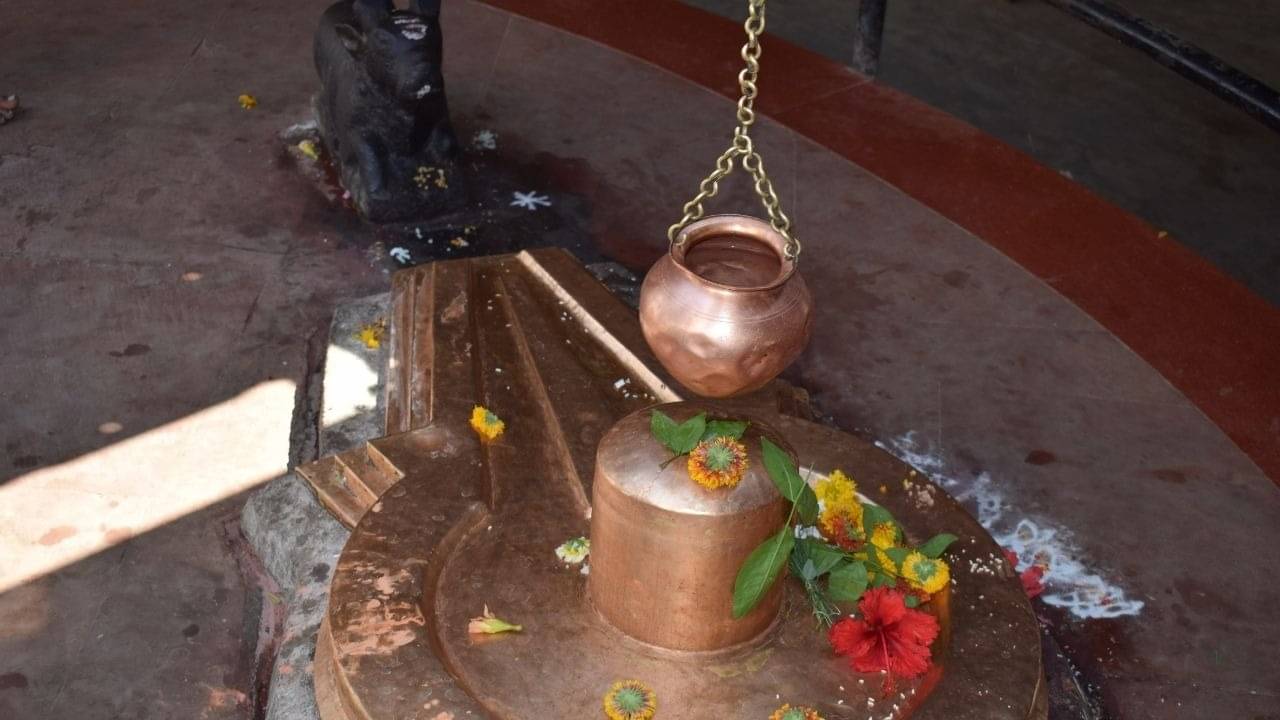 Description of the pic