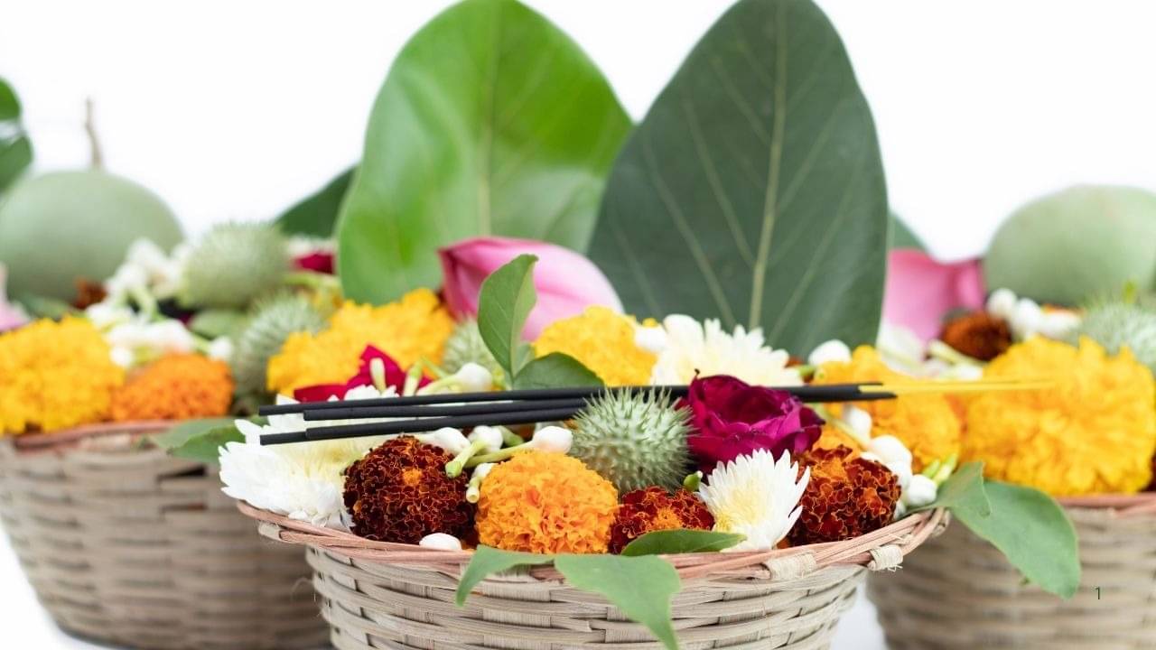 Description of the pic