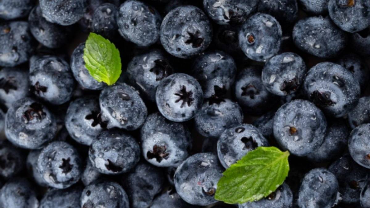 Description of the pic