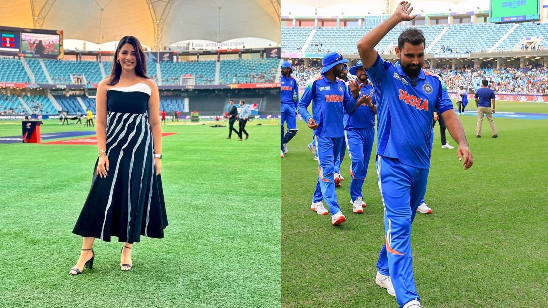 Description of the pic