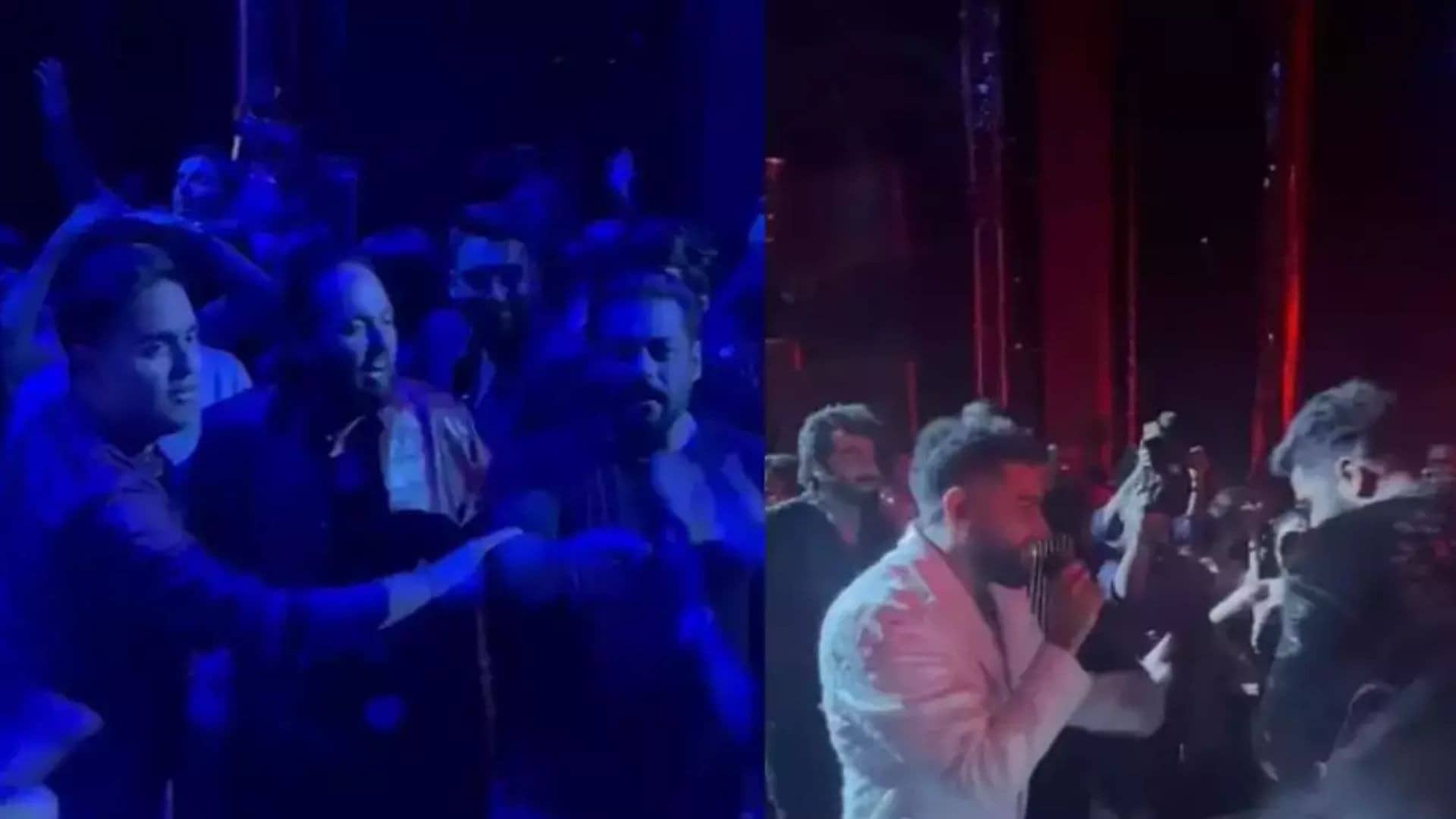 Description of the pic