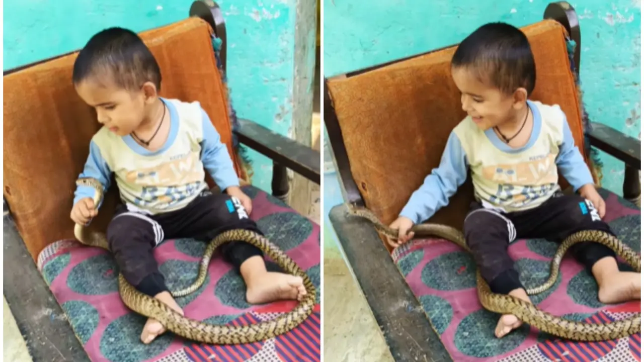Boy playing with snake