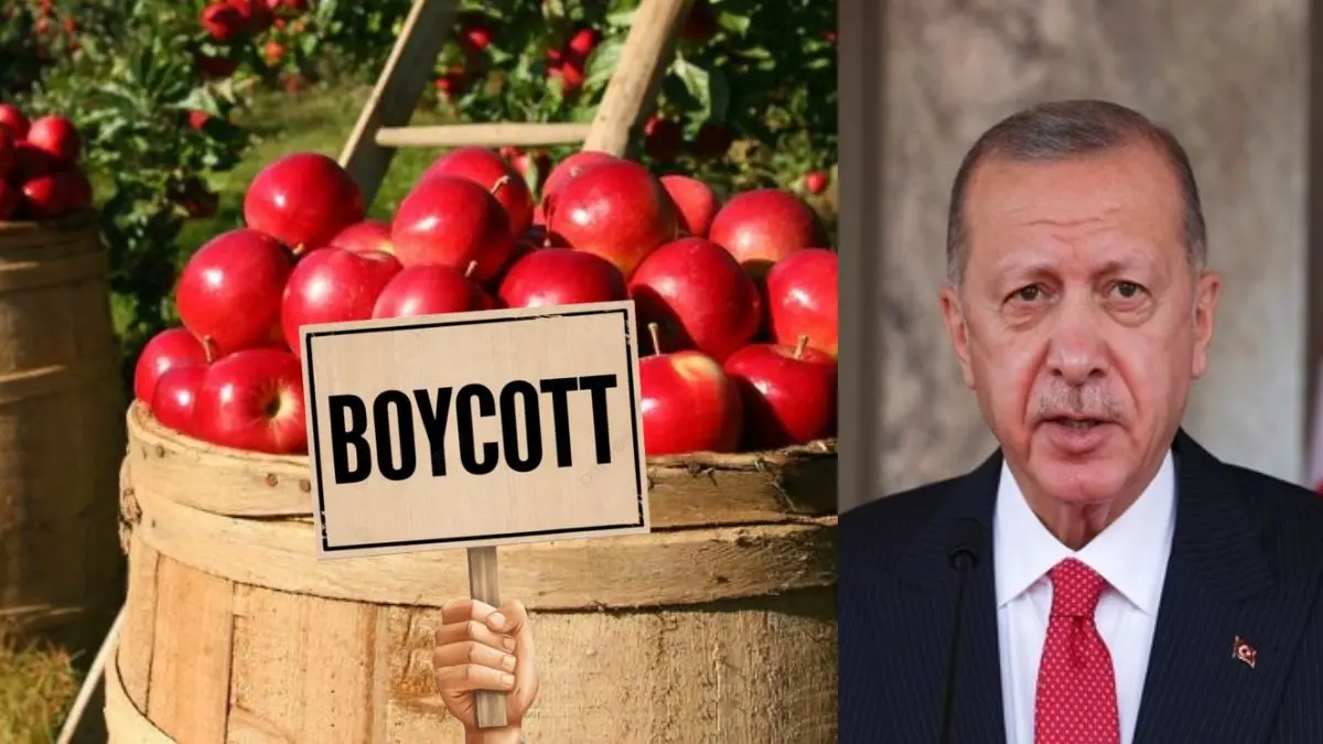 Boycott Türkiye