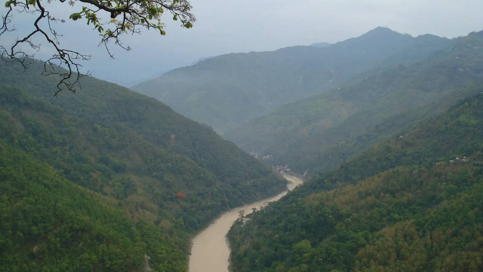 Description of the pic