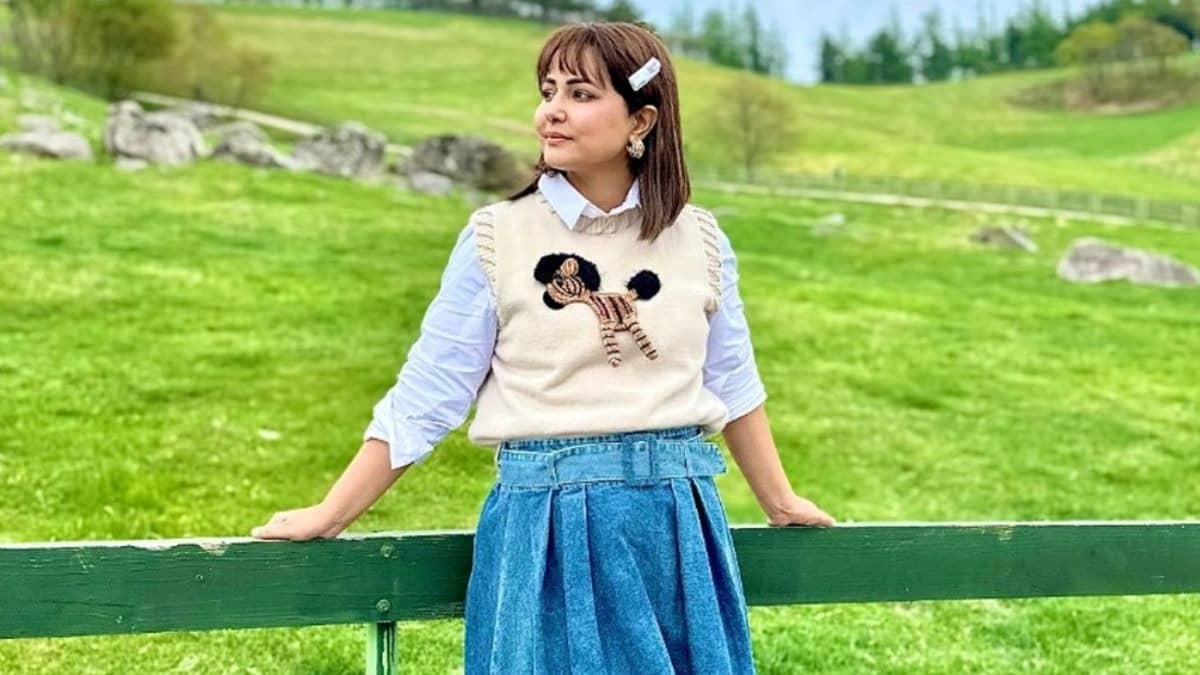 Description of the pic