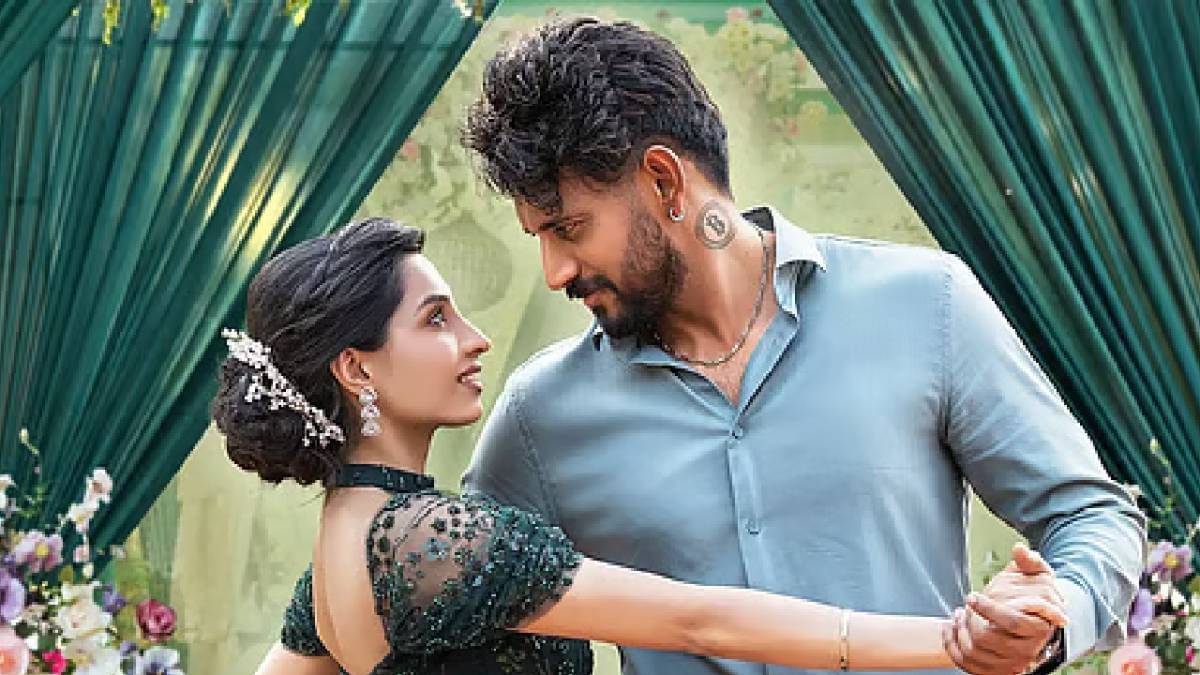 Description of the pic