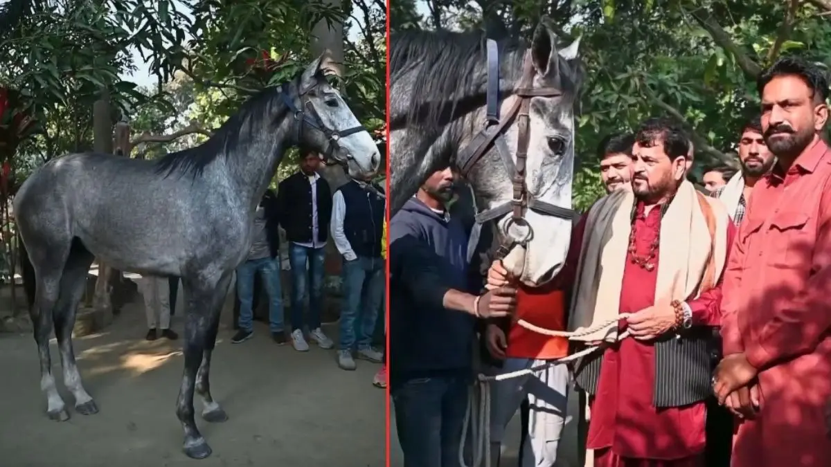 BrijBhushan Sharan Singh New gift horse worth crore rs