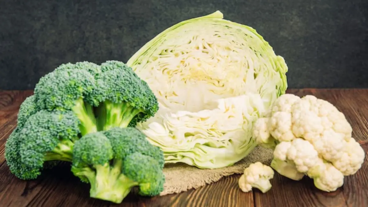 Broccoli vs Cabbage: ब्रोकली और पत्ता गोभी में कौन है ज्यादा फायदेमंद? फिटनेस और हेल्थ के हिसाब से क्या है सही ऑप्शन Broccoli vs Cabbage