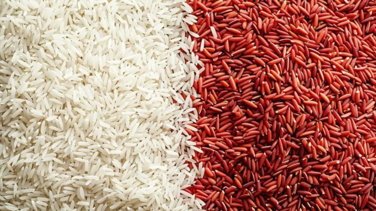 brown rice vs white rice