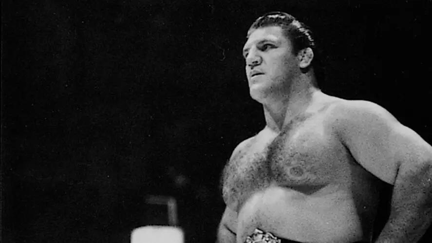 Description of the pic