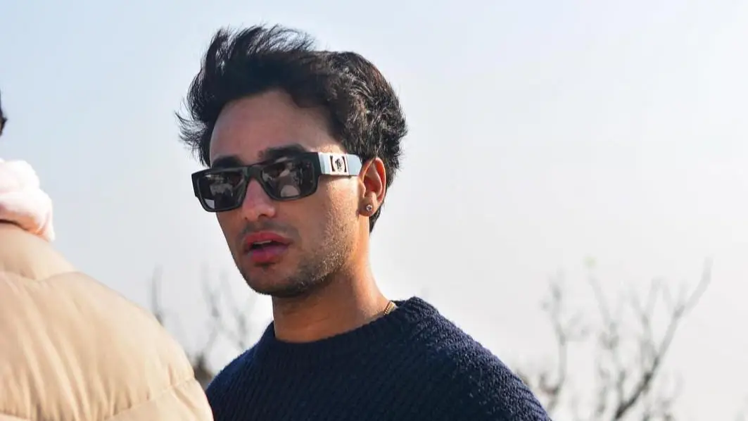 Description of the pic