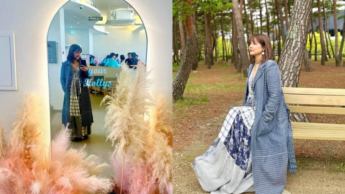 Description of the pic