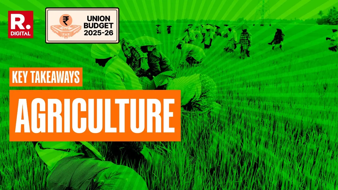 Budget 2025: Sitharaman Announces PM Dhan Dhanya Krishi Yojana To Benefit 1.7 Crore Farmers | Key Takeaways For Agri Sector