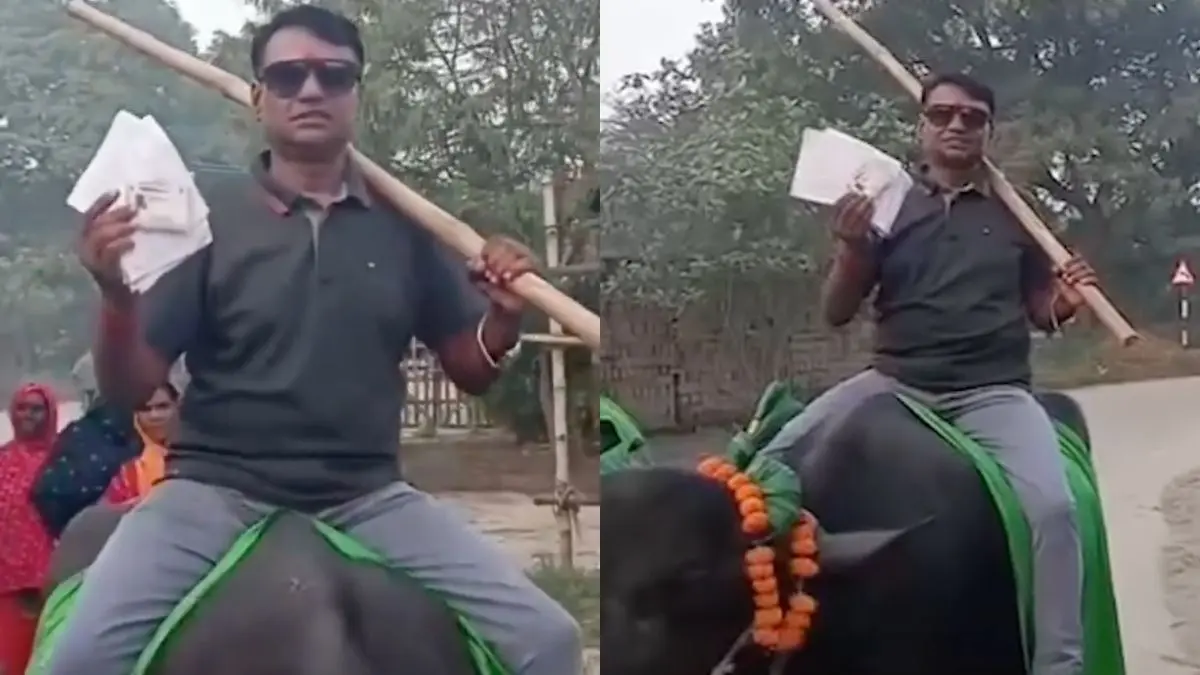 Buffaloes, Sunglasses & Folk Songs: Man's Unique Style At Polling Booth in Bihar Goes Viral | WATCH