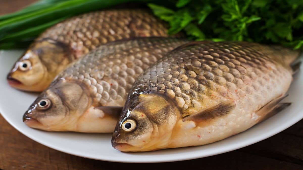 Bye Bye Bones: China Creates Boneless Fish In Lab After Years Of Research